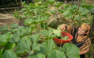 Parvin Akhter in her vegetable garden in Bangladesh