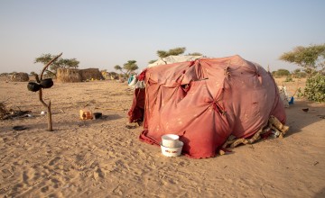 Lana’s shelter in Lac Province, Western Chad. Photo: Eugene Ikua/Concern Worldwide 