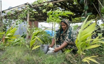 With support from local CRAGs and local Government flood affected homes recieve seeds for gardening in Bangladesh. Photo: Saikat Mojumde/Concern Worldwide.