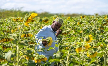 Yusuf Bile is the community resource person for the 364-member Mwafak Farmers group which previously kept livestock but now farms commercially, producing sunflower oil and onions. With support from Concern and corporate partner Archer Daniels Midland, he participated in the 2025 Mombasa Show, where he secured a client for his onions. Photo: Eugene Ikua/Concern Worldwide