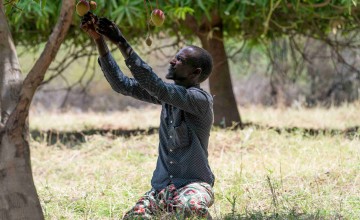 Abdi Ade Kiyo is a farmer and secretary of the Konaramadha CBO, who recently planted new mango trees courtesy of KERRY Group. Photo: Eugene Ikua/Concern Worldwide