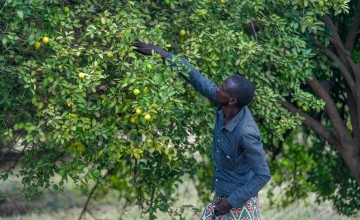 Abdi Ade Kiyo is a farmer and secretary of the Konaramadha CBO Photo: Eugene Ikua/Concern Worldwide