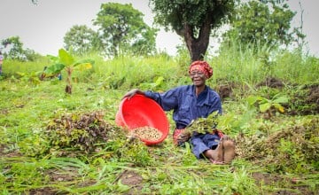 Credit Concern Worldwide Copyright Concern Worldwide Use Concern Worldwide Caption Ilunga Nyembo Emiliane (60) a mother of seven and grandmother of twelve, is a member of the Community Early Warning Committee (CEWC). Together with her community, she maintains a farmer field school where maize, groundnuts, and bananas are cultivated in Kabalo Territory, via Concern DRC's Green Graduation programme. The programme is supported by Irish Aid. Photo: Concern Worldwide