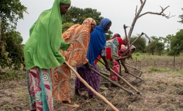 Refugees from CAR working on a community farm. This farm is run by refugees near Wedweil displacement site. Photo: Jon Hozier-Byrne/Concern Worldwide.