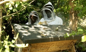 Beekeeper Gedion Tepeka (43) attends his beehives in Kasanya Village. Photo: Jon Hozier-Byrne/Concern Worldwide