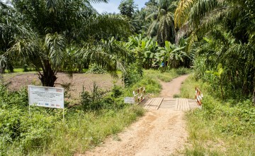 Mahagi territory in the eastern Congolese province of Ituri. Photo: Concern Worldwide