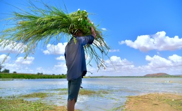 Man holds plants by water
