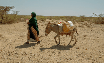 Hafsa walking to get water with her donkey
