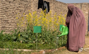 A female from Charsadda was trained on homestead gardening, she was provided with tools and seed pack and then she planted vegetables in her garden. Photo: Concern Worldwide.