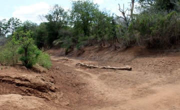 Dry river beds in Lazima Community, Tana River. Photo: Charlotte Woellwarth/Concern Worldwide.