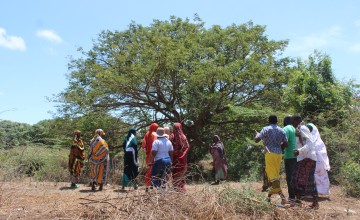 Handaraku Women’s Group walk towards their beehives, Tana River. Photo: Charlotte Woellwarth,Concern Worldwide.