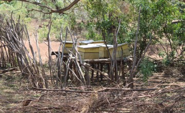Modern beehives in Handaraku Community, Tana River County. Photo: Charlotte Woellwarth, Concern Worldwide.
