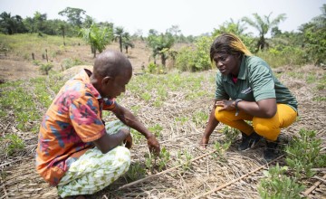 Concern Livelihoods Officer Sophia Johnny with John Sakie at an agricultural demonstration plot in Guds Town, Grand Bassa, Liberia. Here local farmers learn about climate smart planting techniques and experiment with new crops. Photo: Kieran McConville/Concern Worldwide.