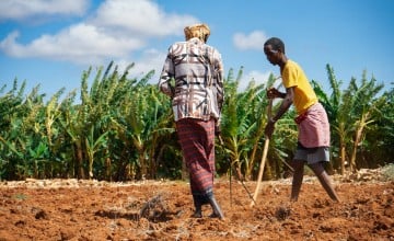 Farmers Abshir* and Yussuf*  prepare the fields for planting Shimbirole East, Bardhere District