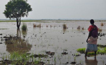 A women stands in flood waters in Nsanje District, Malawi in February 2015. Photograph taken by: Deborah Underdown/Concern Worldwide.