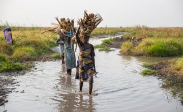 Women carry firewood through the swamps in South Sudan. Photo: Kieran McConville/Concern Worldwide.