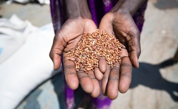 A beneficiary holds up grains provided by the WHO and distributed by Concern Worldwide