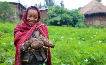 Mehamed Ahimed Ali (15) shows some of the potatoes from his family's successful harvest thanks to Concern. Photo: Jennifer Nolan, Ethiopia, 2017. 