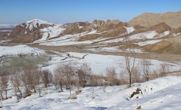 Orchard of Kozur community forest during winter in Afghanistan.