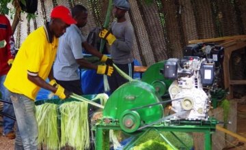 Programme participants processing sisal fibres on new machinery purchased by Concern. 
