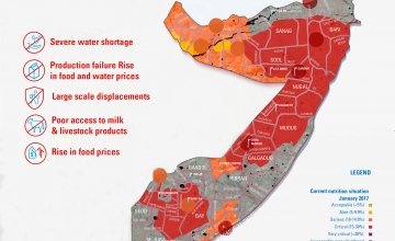 Drought is causing grave food insecurity in Somalia currently. Data: UNICEF / Somalia Nutrition Cluster