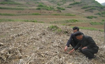 Mr. Jong is describing how conservation agriculture could improve livelihoods and food security of farmers in this area, Kangwon Province, DPRK. Photo: Catherine Dunnion.