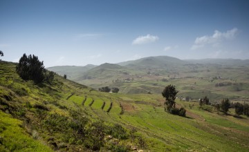 Concern has worked with the communities in Dessie-Zuria in the northern part of Ethiopia. Photo: Petterik Wiggers / Concern Worldwide.