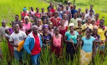 Concern staff and members of a farmer field school in Lofa County, Liberia. Photograph taken by Kieran McConville / Concern Worldwide.