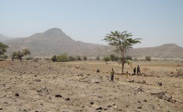 Children walk over agricultural land in Tselmti woreda. Nothing is growing in the current drought. Ethiopia/Feb. 2016 Credit: David Hunn