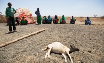 Displaced women and girls in Somaliland. Photo: Kieran McConville/Concern Worldwide.