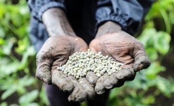 Nyayany Boh holds a handful of seeds. She is part of the Concern Worldwide supplementary feeding programme in Gambella, Ethiopia. Photo: Jennifer Nolan