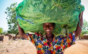 Stelia Davidson carries a bundle of sweet potato vines which she will sell to the International Potato Center, CIP. Photo taken by Kieran McConville / Concern Worldwide.