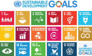 The 17 Sustainable Development Goals for 2030. 