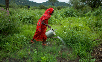 Women make up two thirds of the global agricultural workforce