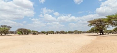 A dry river basin in Kangalita, Turkana, Kenya. The region has been severely affected by drought. Photo: Natalia Jidovanu/Concern Worldwide