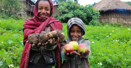 In Ethiopia, we're helping families like Mehamed's to diversify their crops for better livelihood outcomes. Photo: Jennifer Nolan/ Concern Worldwide.