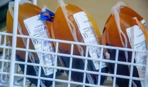 Blood Bank, Moyamba Government Hospital. Photo: Kago Tshabota.