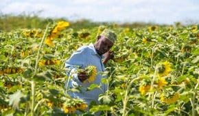 Yusuf Bile is the community resource person for the 364-member Mwafak Farmers group which previously kept livestock but now farms commercially, producing sunflower oil and onions. With support from Concern and corporate partner Archer Daniels Midland, he participated in the 2025 Mombasa Show, where he secured a client for his onions. Photo: Eugene Ikua/Concern Worldwide