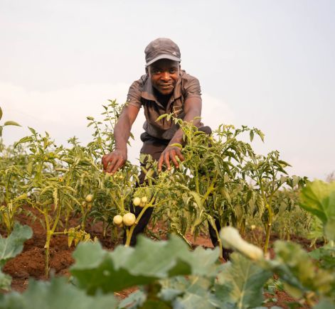Malawian farmer with his crops
