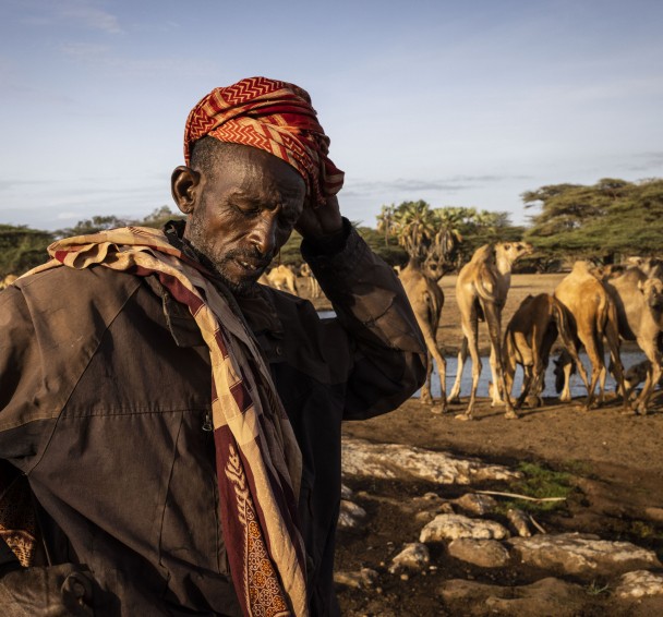 A Kenyan pastoralist with his camels near North Horr in Marsabit