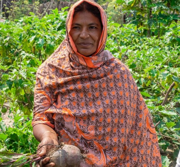 Asma Begum rotates seasonal crops on her farm in Bangladesh