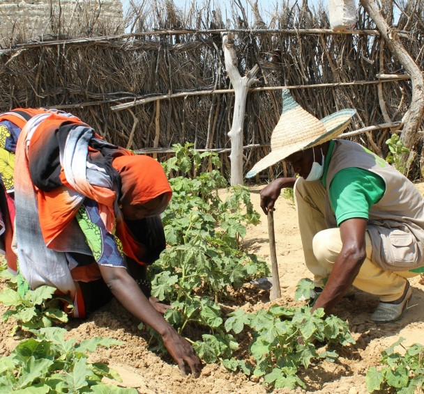 Concern staff providing support to Haoua Alhadj in her vegetable garden