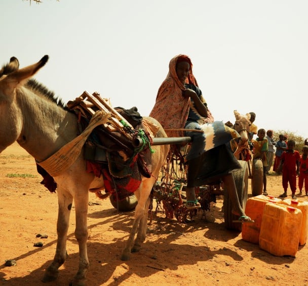 Binta Feriahmed and her donkey
