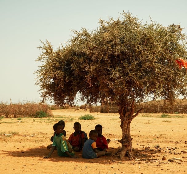 Children sitting under tree in Dollo Bay Wordea