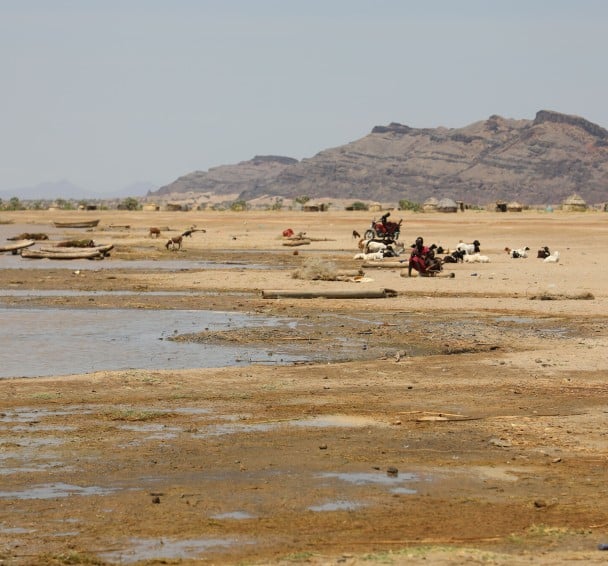 Shores of Lake Turkana
