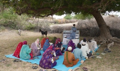 People gather under a tree for a community meeting