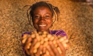 Congolese woman with the harvests from her peanut farm