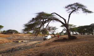 A river runs dry in the Horn of Africa