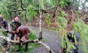 Rescuers clearing a road near Cox&#039;s Bazar, Bangladesh, after Cyclone Mocha. 
