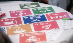 Sustainable Development Goals cards on table